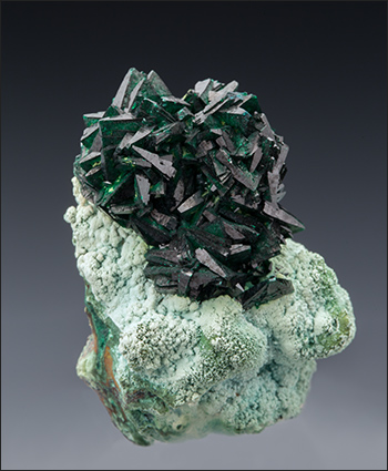 Malachite on Chrysocolla Congo miniature