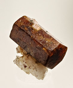 Bastnasite Zagi Mtn. Pakistan