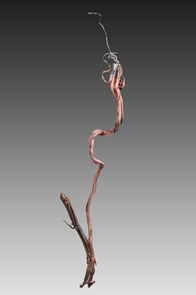 Silver large wire Lingqiu China