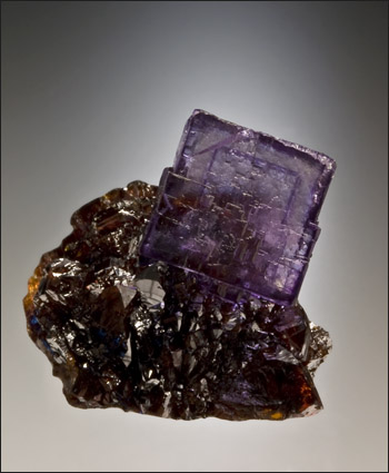 fluorite on sphalerite thumbnail Elmwood Mine Marty Zinn