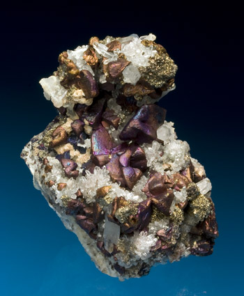 Chalcopyrite with Quartz Batanci mine bulgaria small cabinet