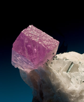 Kunzite on cleavelandite small cabinet Afghanistan