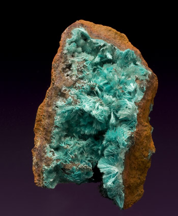 Aurichalcite in limonite vug Ojuela Mapimi Mexico small cabinet