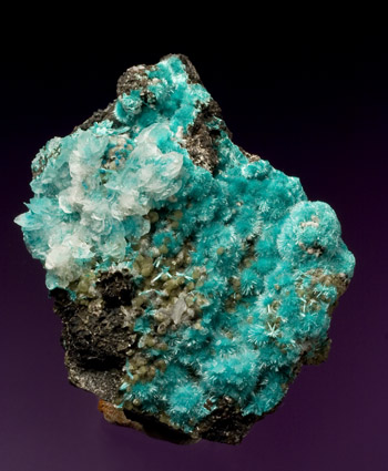 Aurichalcite with Austinite Ojuela Mine Mapimi Mexico small cabinet