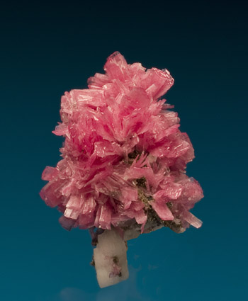 Rhodonite San Martin Mine Huallanca Peru miniature