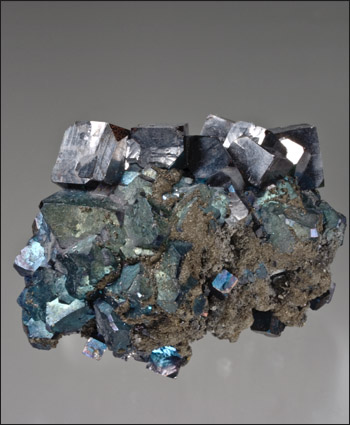 Galena with Bornite overgrowth and pyrite West Fork Mine Missouri small cabinet