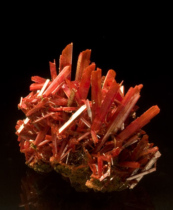 Crocoite small cabinet Adelaide Mine Tasmania