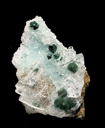 Atacamite in gypsum with quartz Ica Department Peru small cabinet