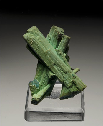 Chrysocolla pseudomorph after Azurite Silica Pit Ray Mine Arizona miniature