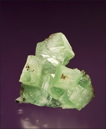 Cuprian adamite miniature Ojuela Mine Mexico