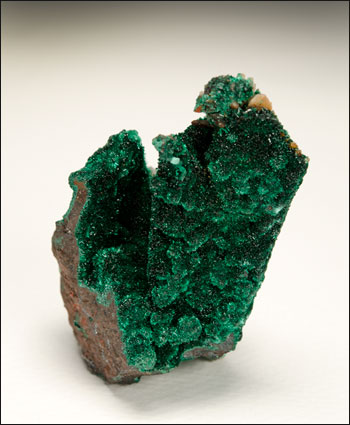 malachite pseudomorph after azurite Milpillas Mine Mexico miniature