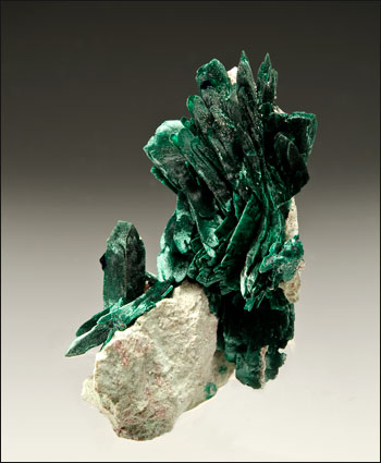 malachite pseudomorph after azurite Milpillas Mine Mexico miniature