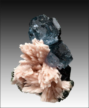 fluorite on Mn Calcite San Antonio Mine Mexico small cabinet