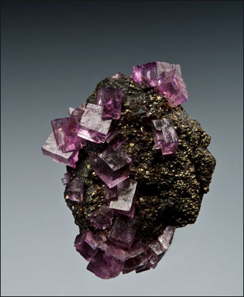 purple fluorite on sphalerite Elmwood Mine Tennessee miniature