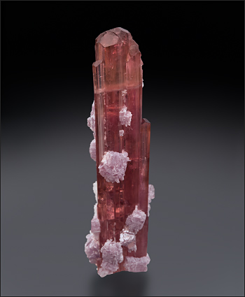 Tourmaline Lepidolite Himalaya Mine miniature