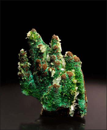 rosasite conichalcite hemimorphite ojuela mine miniature